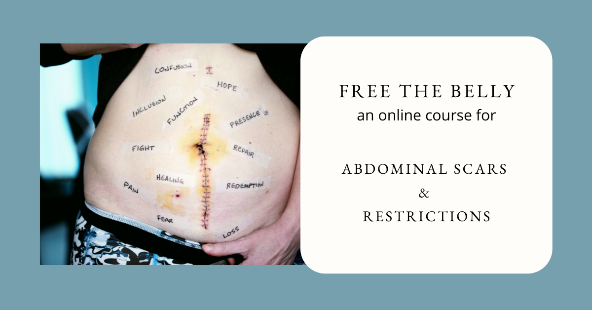 Free The Belly Abdominal Scar Massage course banner with an abdominal scar and words related to abdominal trauma